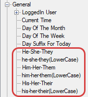 Pronoun Insert Fields